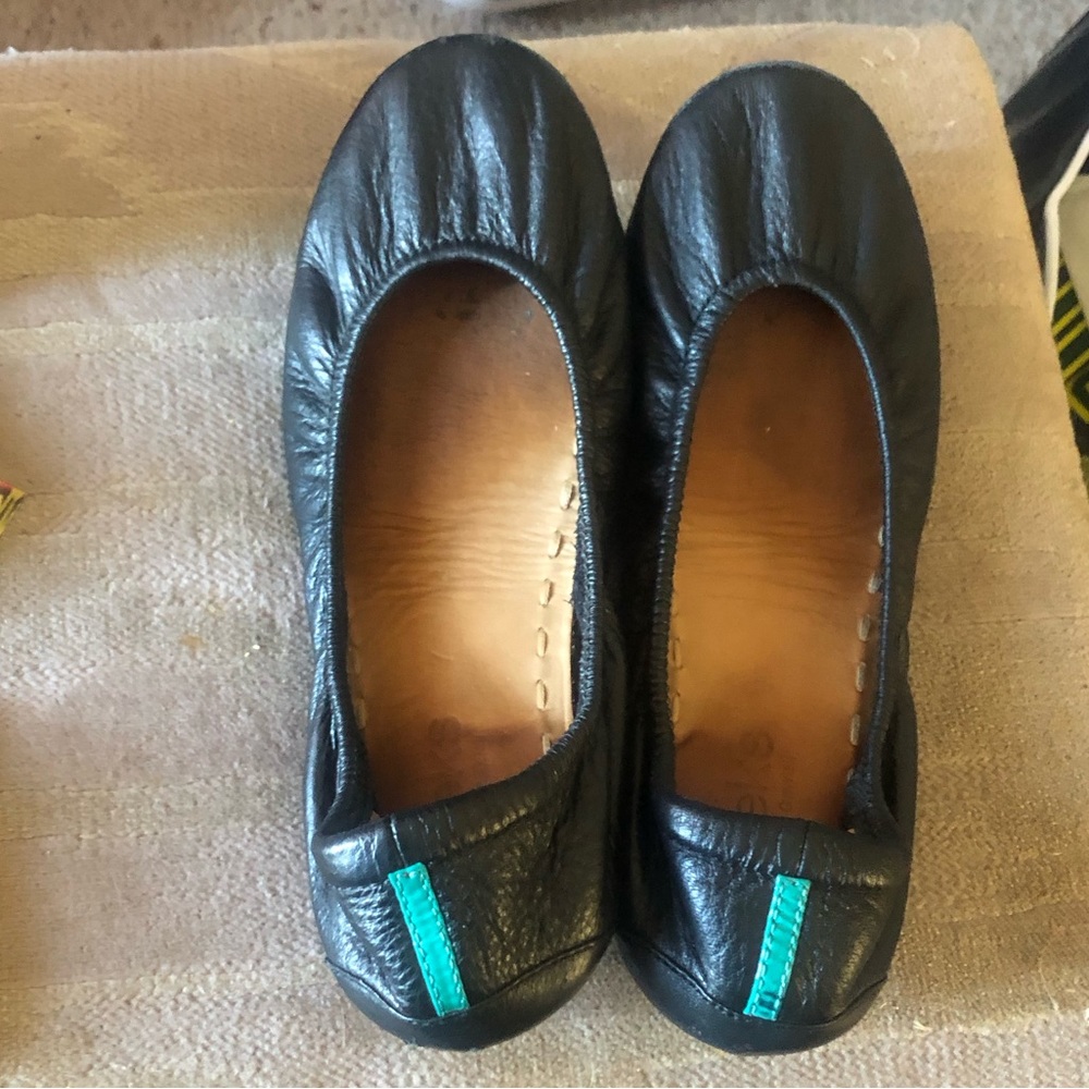 Tieks shoes